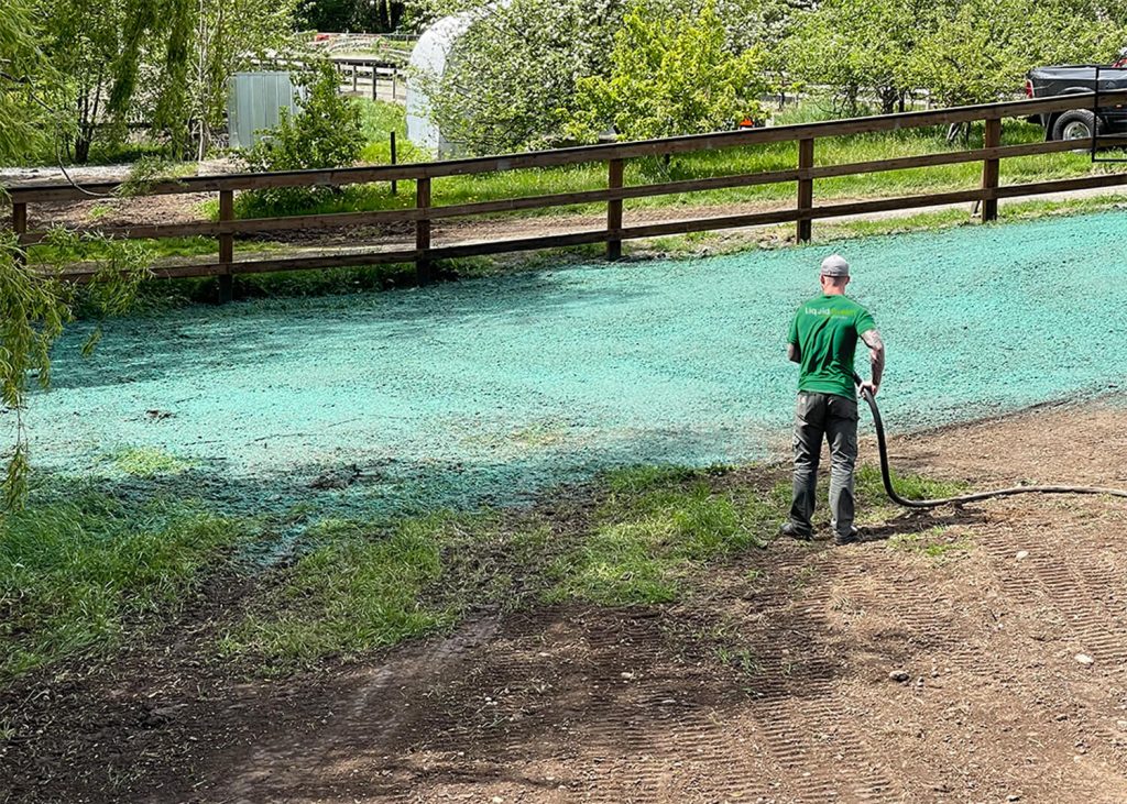 liquid green hydroseeding employee using hydroseeder to spray grass seed in back yard