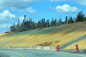 liquid green hydroseeding on dirt slope on side of highway