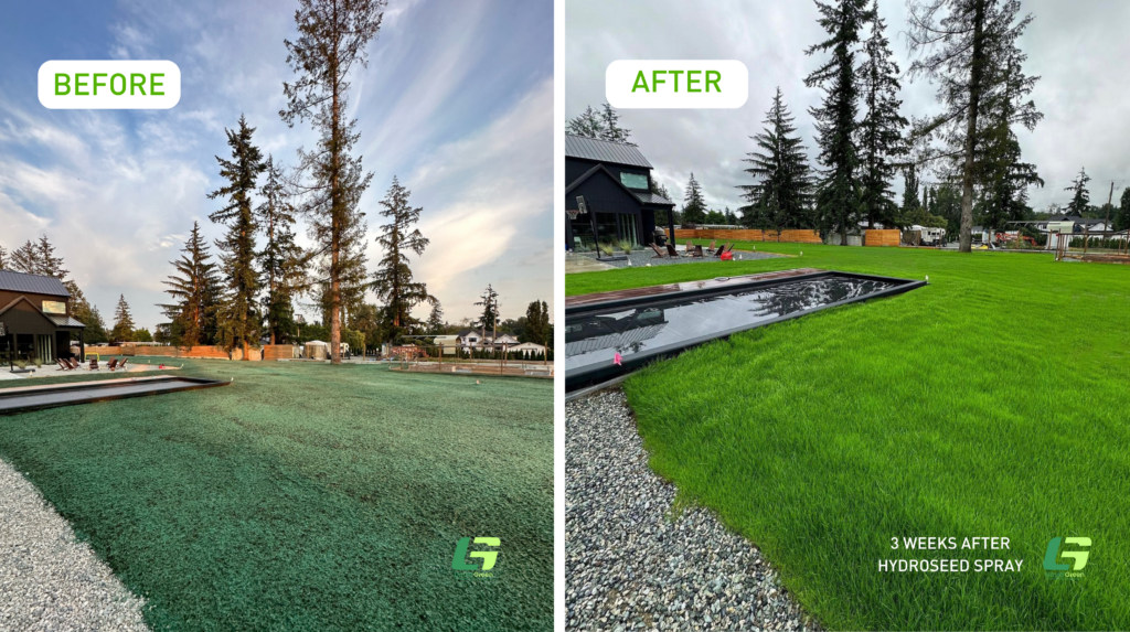 Liquid Green hydroseeding results