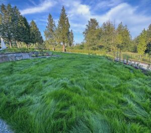 Hydroseeding Vancouver