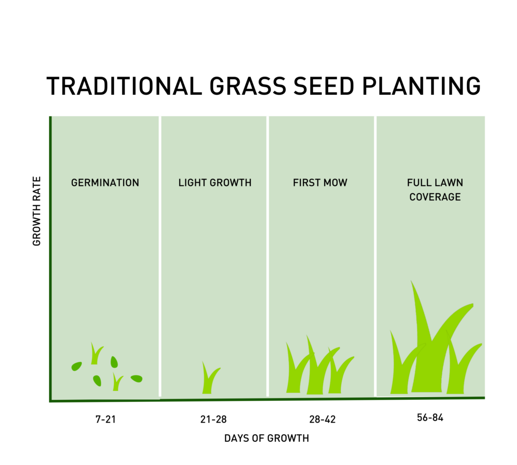 how long for grass seed to grow
