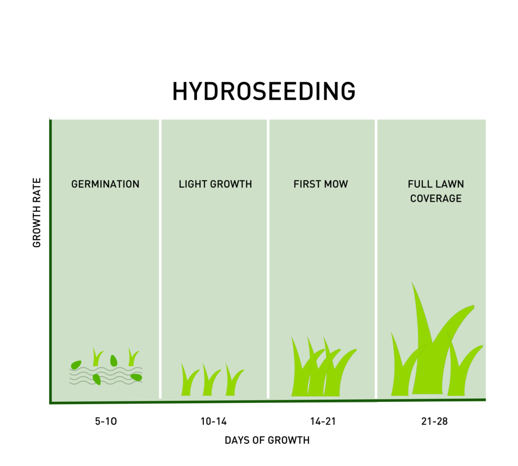 how long for grass seed to grow